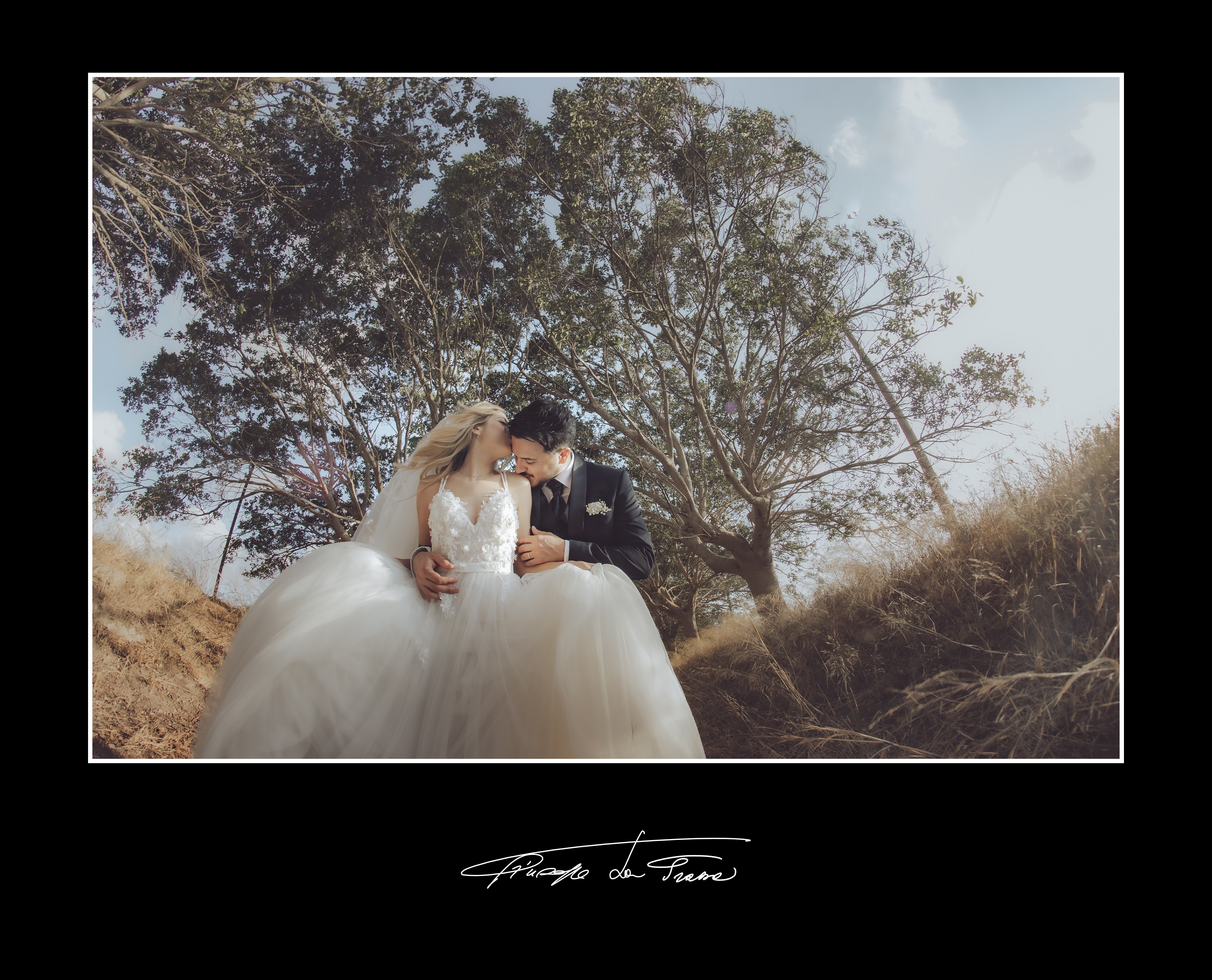 Album 139 lupo giudice vincenzo giulia