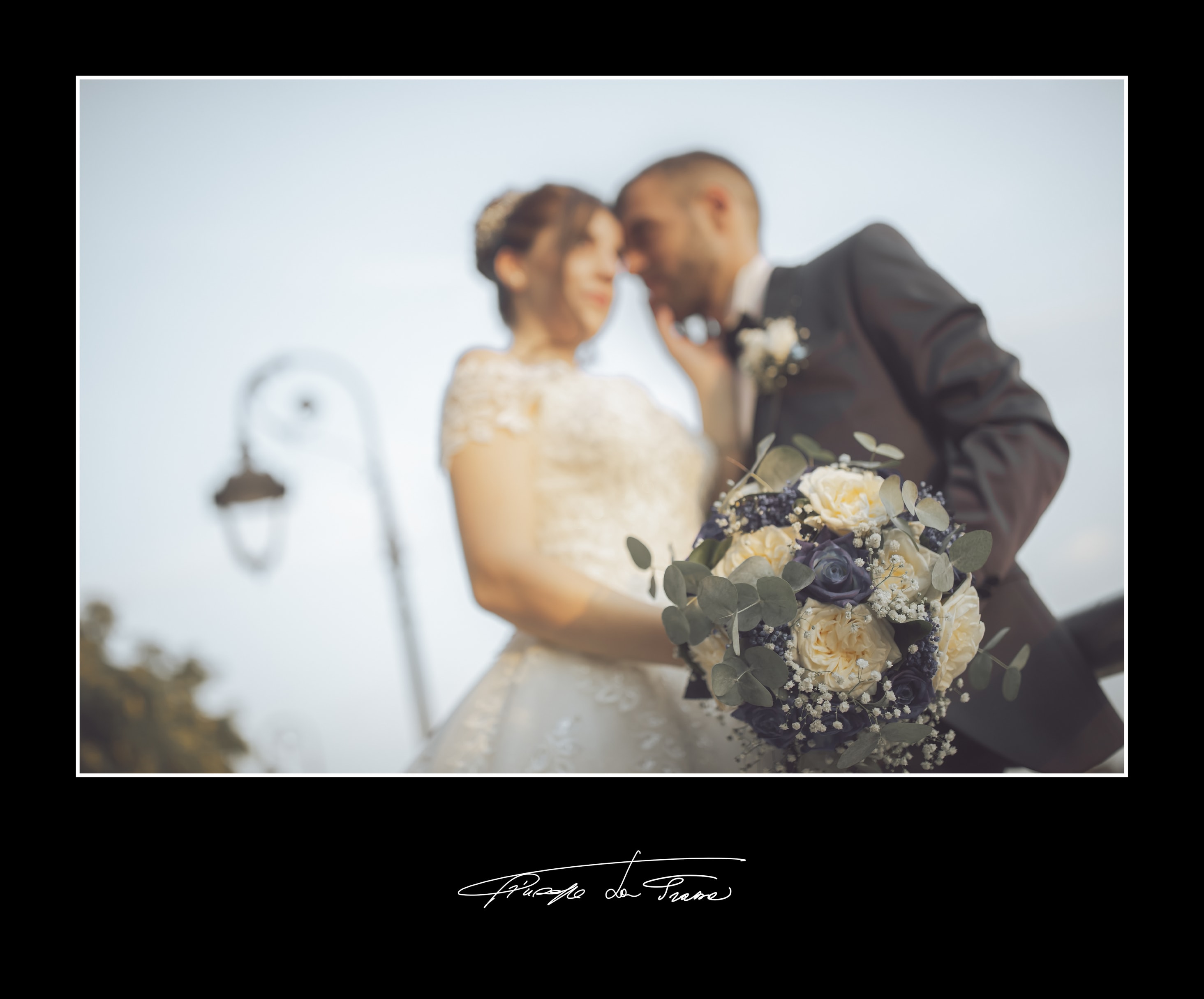 Album 204a frazzetta curiale vincenzo giulia