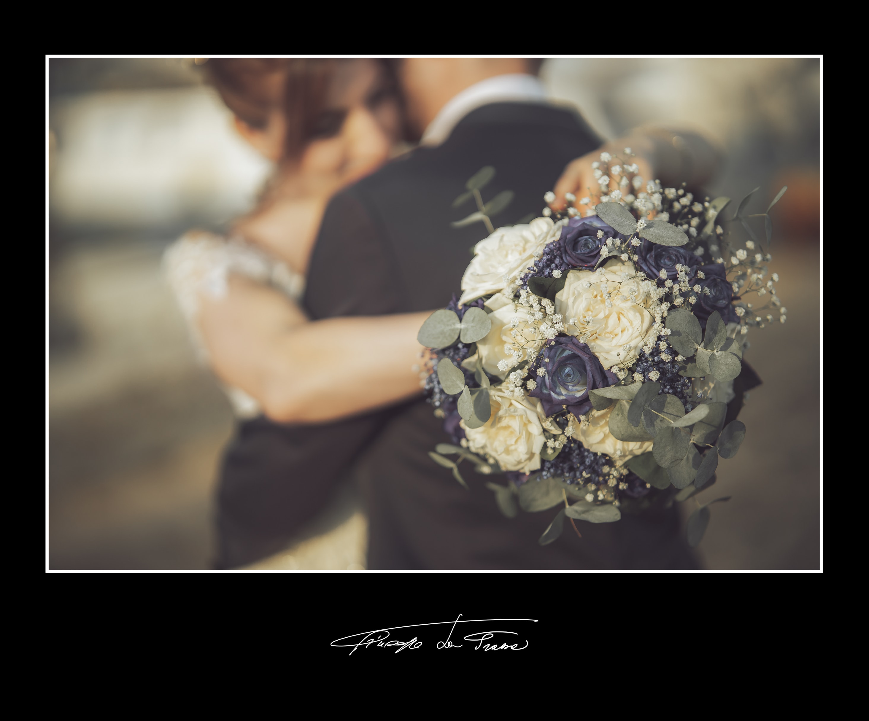 Album 204b frazzetta curiale vincenzo giulia