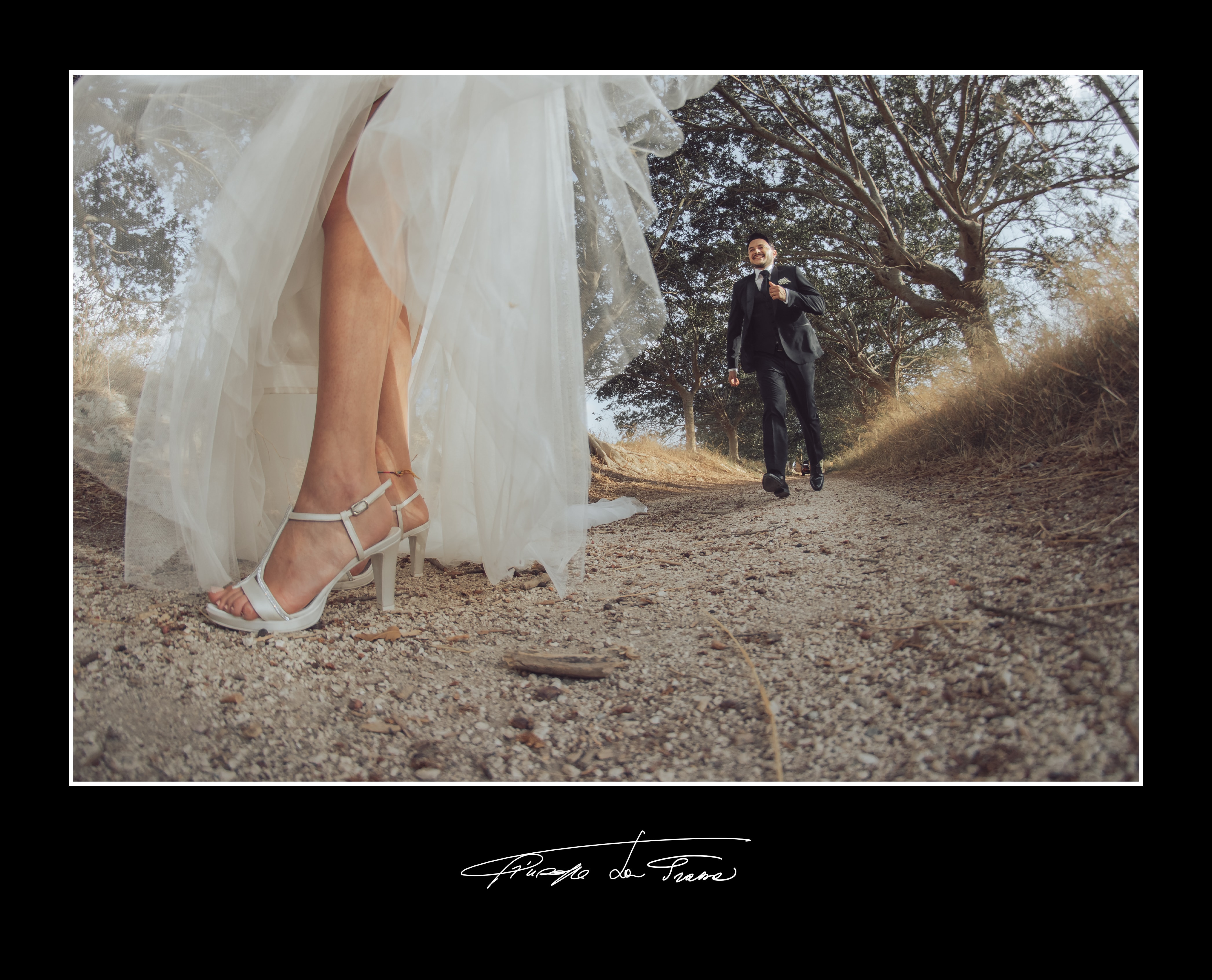 Album lupo giudice vincenzo giulia